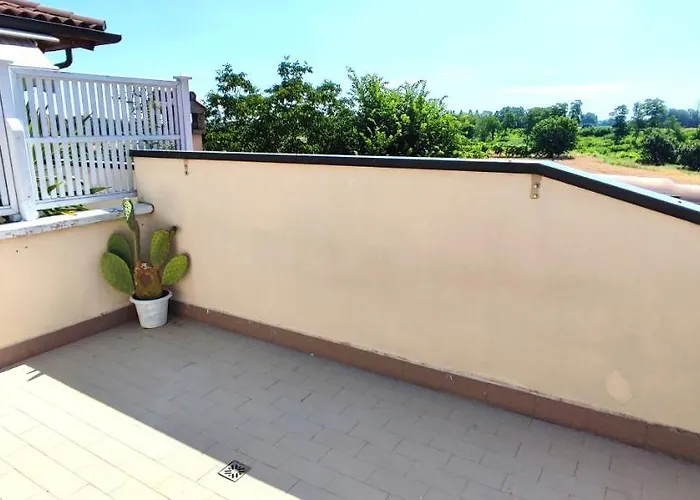 Gattomoro 3* Calderara di Reno