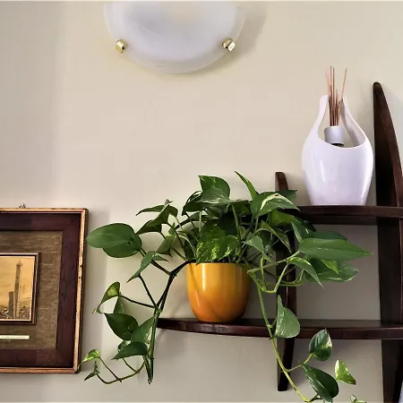 Gattomoro 3* 칼더라라디레노