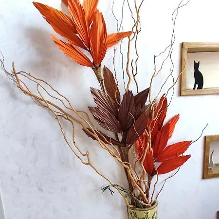 게스트하우스 Gattomoro 칼더라라디레노