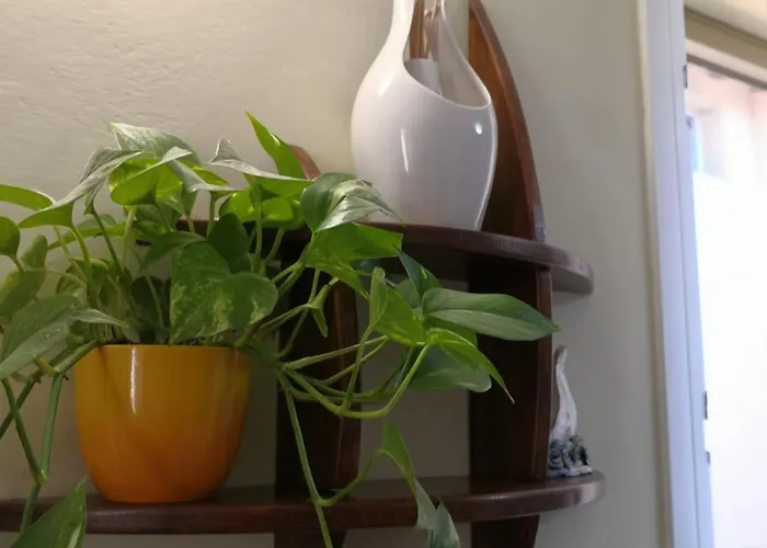 Gattomoro 3* Calderara di Reno