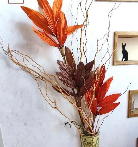 Pensión Gattomoro Calderara di Reno